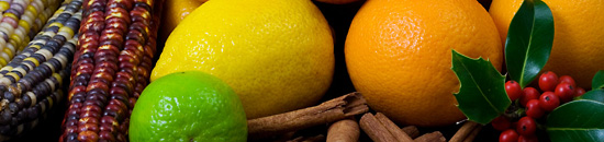 攻击网站的方法